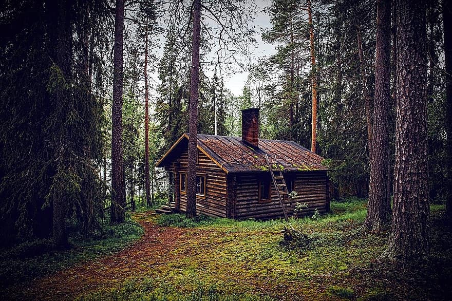 hut, Bos, seefeld, blokhut, natuur, bos lodge, Rust huis