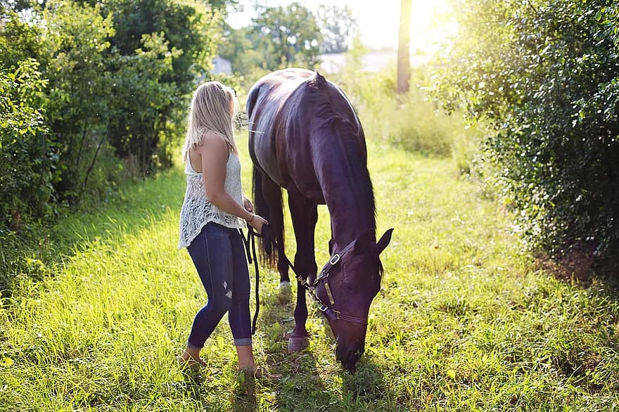 donna con cavallo, cavallo, donna, animale, equino, equestre, estate, amazzone