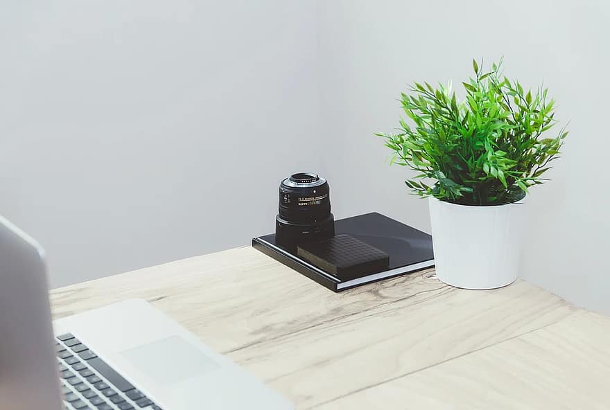 table, bureau, carnet, plante en pot, maquette