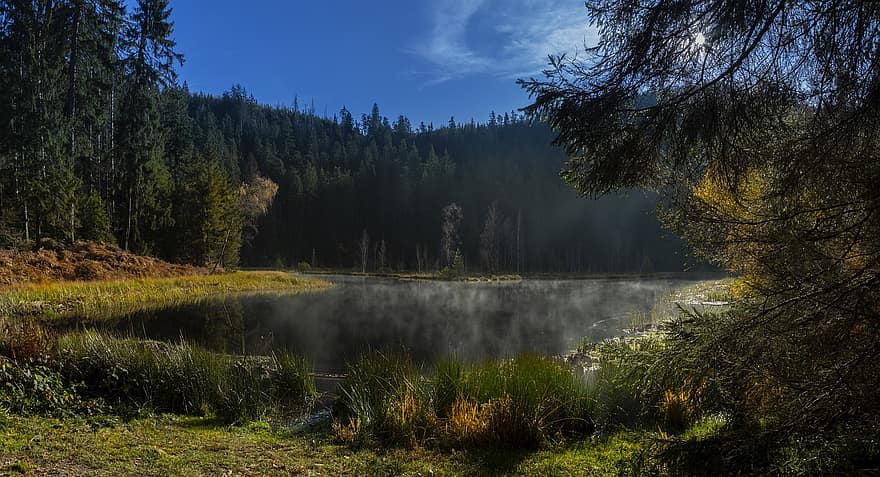 buhlbachsee, Schwarzwald, lac, panoramă, baiersbroon, în aer liber, aventură, apă, copaci, natură, padure neagra