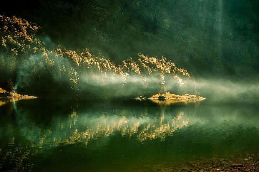 nascer do sol, manhã, lago, agua, reflexões, floresta, arvores, madeiras, panorama, natureza, ao ar livre