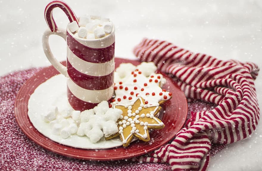 candy cane, hot chocolate, cocoa, christmas, holiday, drink, beverage, mug, red, snow, winter