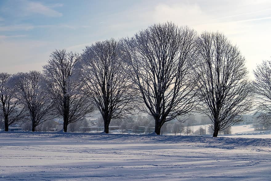 inverno, invernale, natura, alberi, la neve, retroilluminazione, brina, paesaggio innevato, paesaggio, umore, freddo