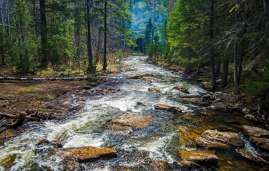 Russie, courant, ruisseau, rivière, eau, roches, des pierres, rochers, se précipiter, rapides, forêt