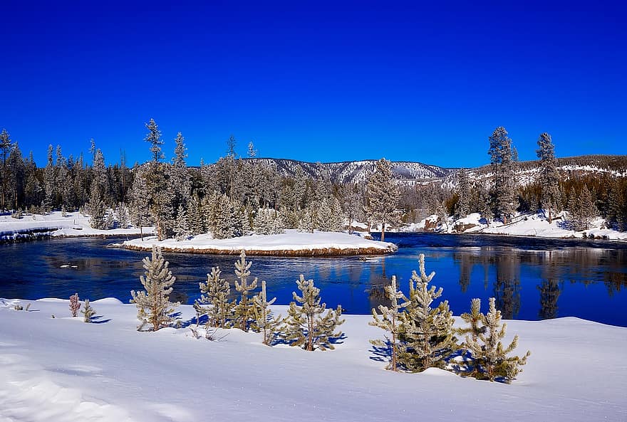 Yellowstone, Parc Nacional, wyoming, hivern, neu, paisatge, naturalesa, a l'aire lliure, país, desert, turisme