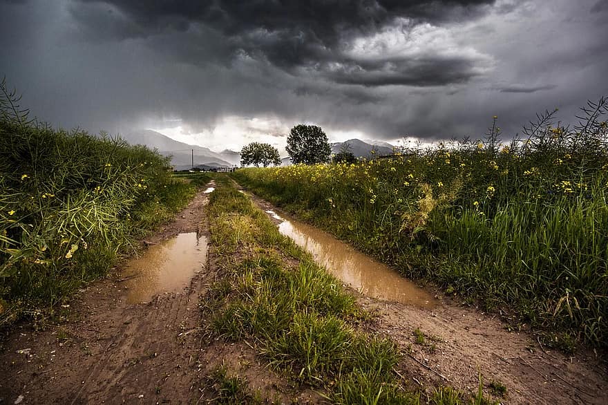 landweg, zandweg, landelijk, platteland, wolken, veld-, landschap, natuur, regen, hemel, storm