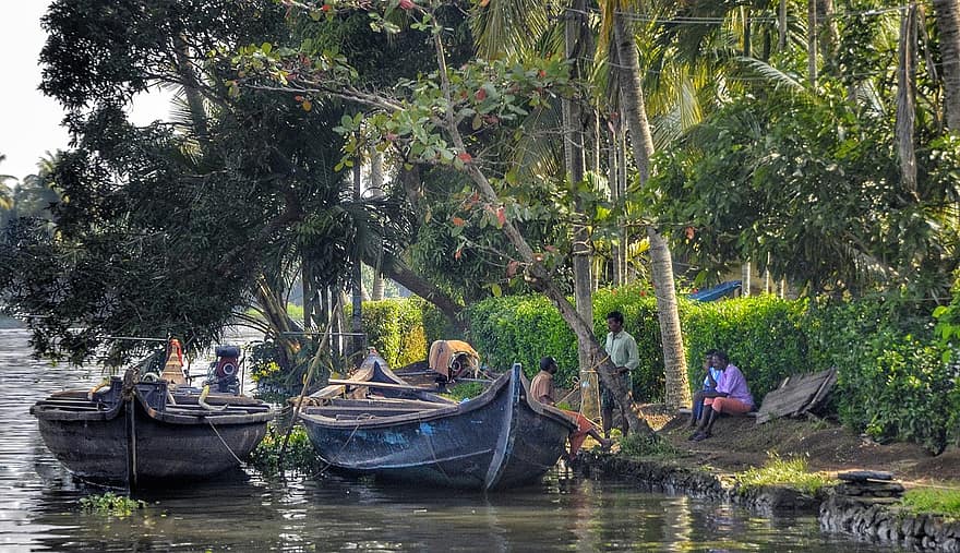 landsbyboere, snakker, backwaters, tre, båter, Alleppey, kerala, india, vann, tropisk, reise