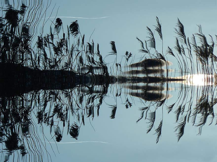 reed, agua, espelhamento, lago, banco, natureza, panorama, plantar, grama, águas, badesee