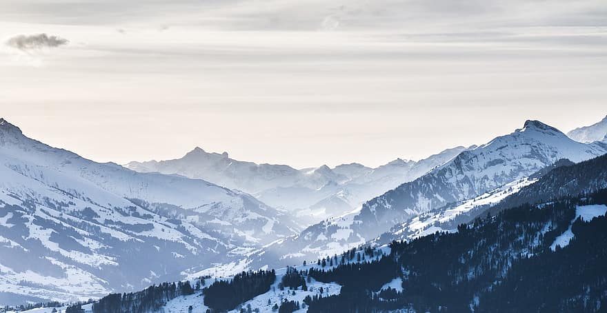 Beatenberg, dağ, bernese oberland, isviçre, Kaya, alp, Niederhorn, kış, yürüyüş, görünüm, arka fon