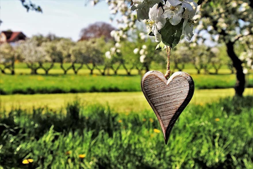 spring, feeling, heart, pendant, sad, nature, tree, plant, flower, summer, landscape