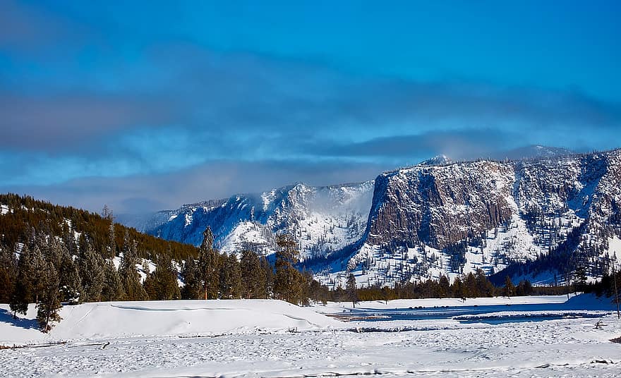 Yellowstone, Parc Nacional, wyoming, hivern, neu, paisatge, naturalesa, a l'aire lliure, país, desert, turisme