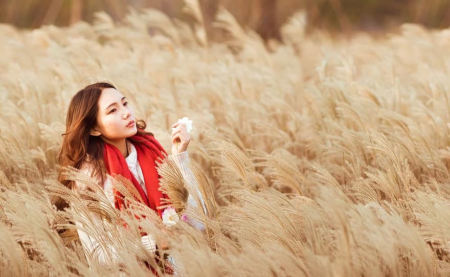 menina, asiático, chinês, cachecol vermelho, mulher, gramas, beleza, reed, campo, rural