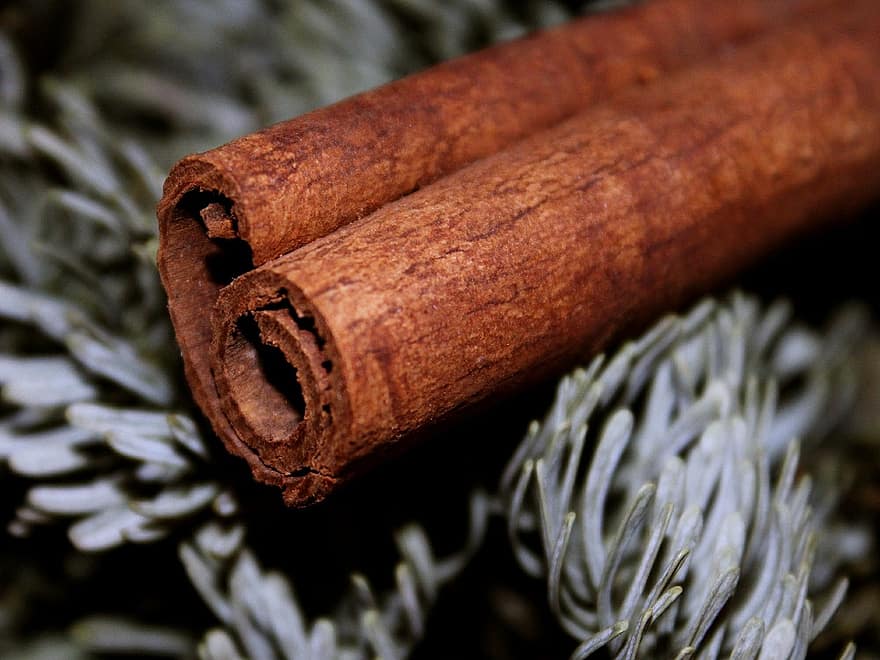 cinnamon stick, cinnamon, brown, fir tree, advent, christmas, fragrance, spice, rod, decoration, green