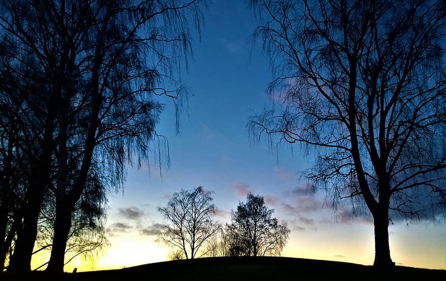 lever du soleil, Aube, Himmel, Matin, magnifiquement, solaire, paysages, arbre, silhouette, ciel du matin, tôt le matin