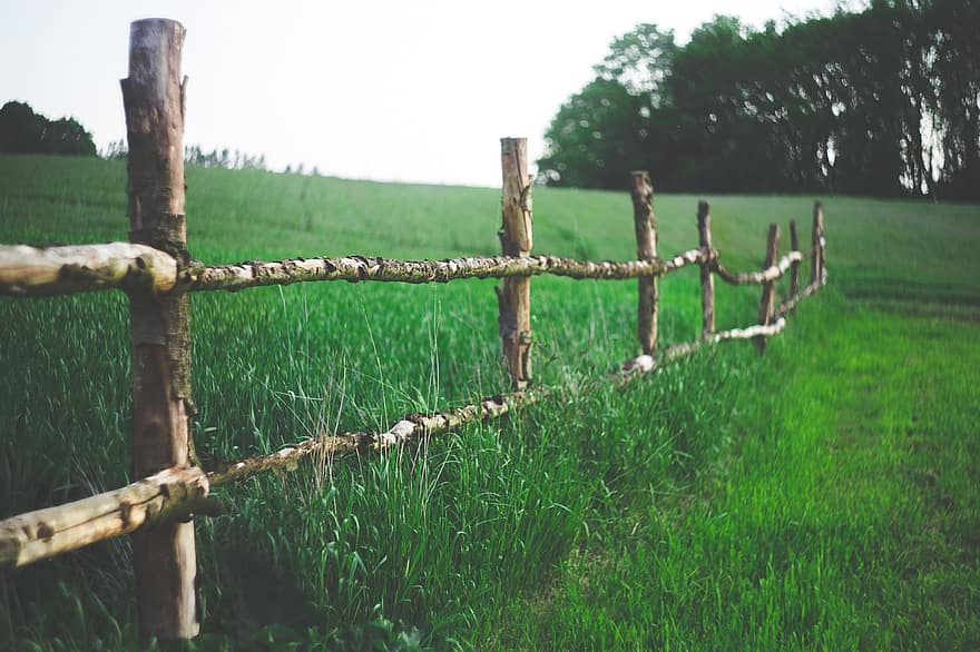 pole, plot, hospodařit, země, zelená, Příroda, tráva, letní, jaro, louka, krajina