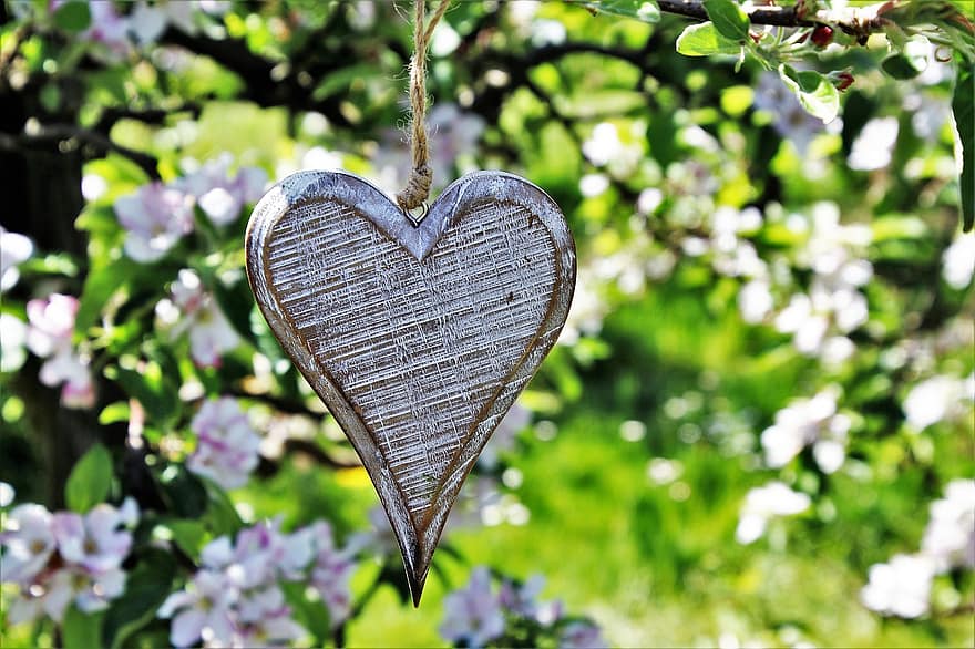 heart, wooden, sad, spring, fruit trees, flower, nature, plant, leaf, garden, no one