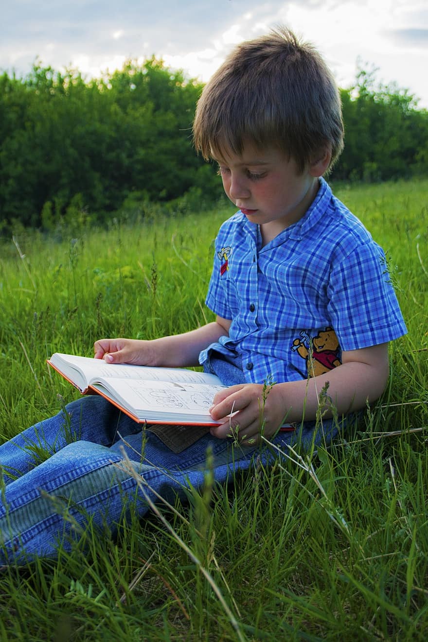 jongen, kind, onschuld, lezing, boek, natuur, buitenshuis