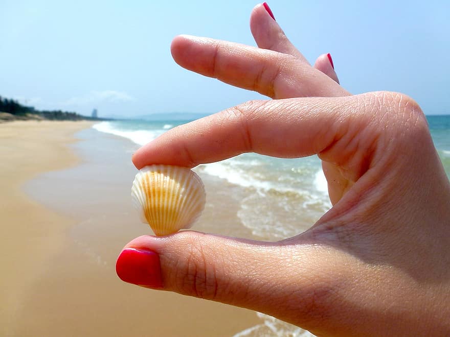 Strand, Muschel, Zehennagel, Lack, Hände, der Nagel, Hand, die Handfläche, die Hand, Meer, die Wellen