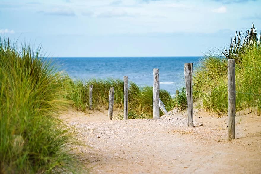 dünn, Meer, Zaun, Wasser, Ferien, Nordsee, Weg, Sand, Strand, Landschaft