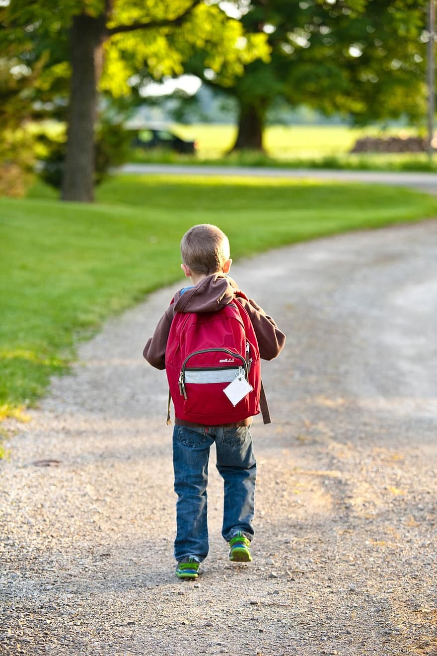 scuola, zaino, infanzia, formazione scolastica, Borsa, elementare, alunno, giovane, ragazzo, a piedi