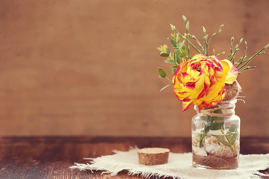 fiore, ranuncolo, rosso Giallo, vaso, bicchiere, deco, decorazione, vaso di fiori, fiore primaverile, schnittblume, avvicinamento