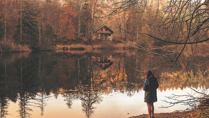 mensen, vrouw, alleen, reflectie, cabine, huis, bomen, Bos, bossen, rivier-, meer