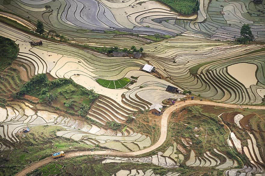 blind stretch comb, lao cai, water, vietnam, rice, season, the field, asia, step, agriculture, green