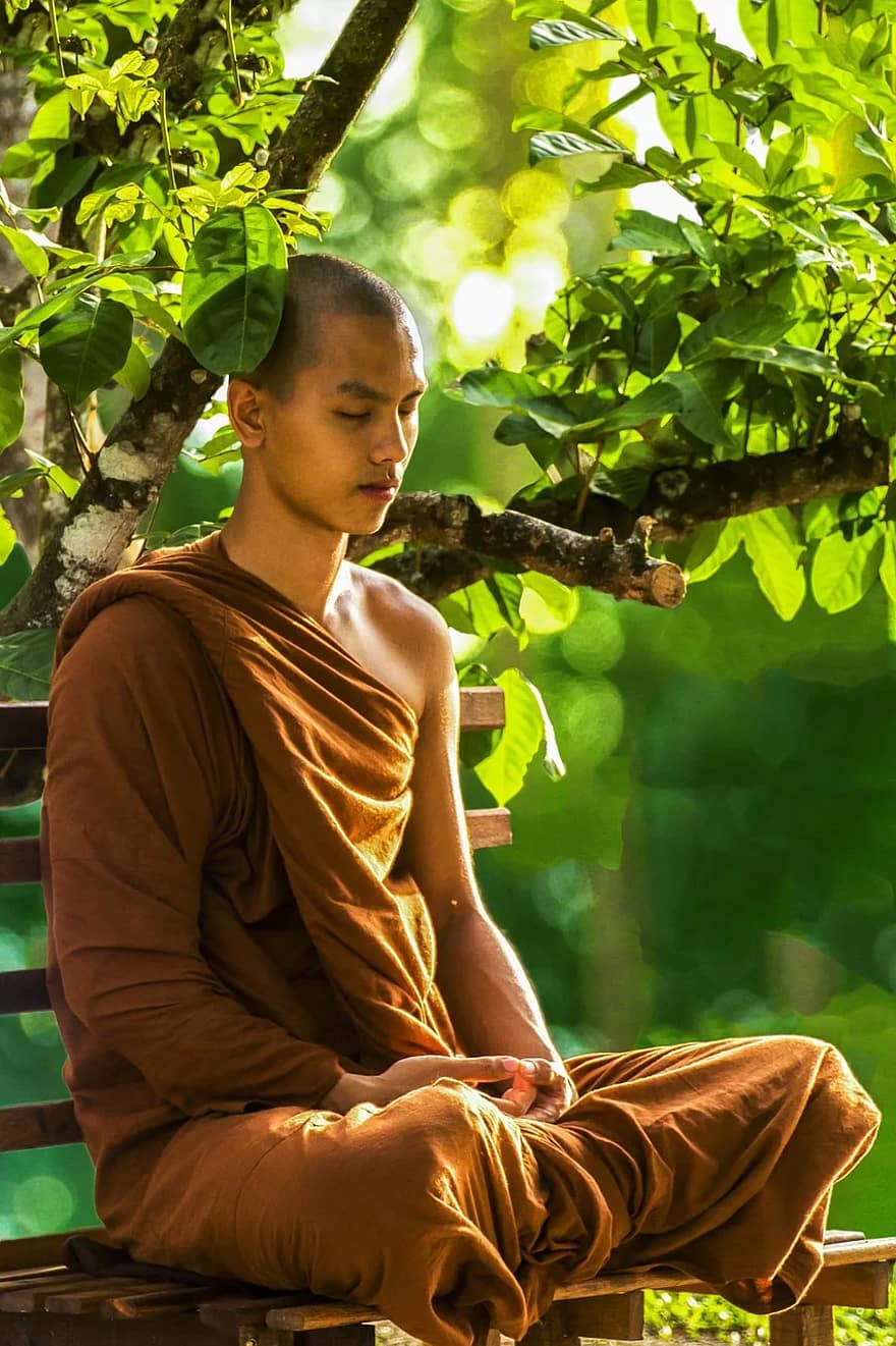 meditation, munk meditera, theravada buddhism, religion, religiös, munk, mediterar, andlig, buddhism, zen, andlighet