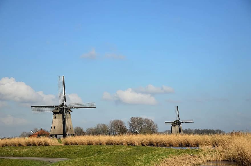 vindmølle, holland, tradisjon, nederlandsk, nederland, landskap, landlig, landsbygda, kultur, mølle, felt