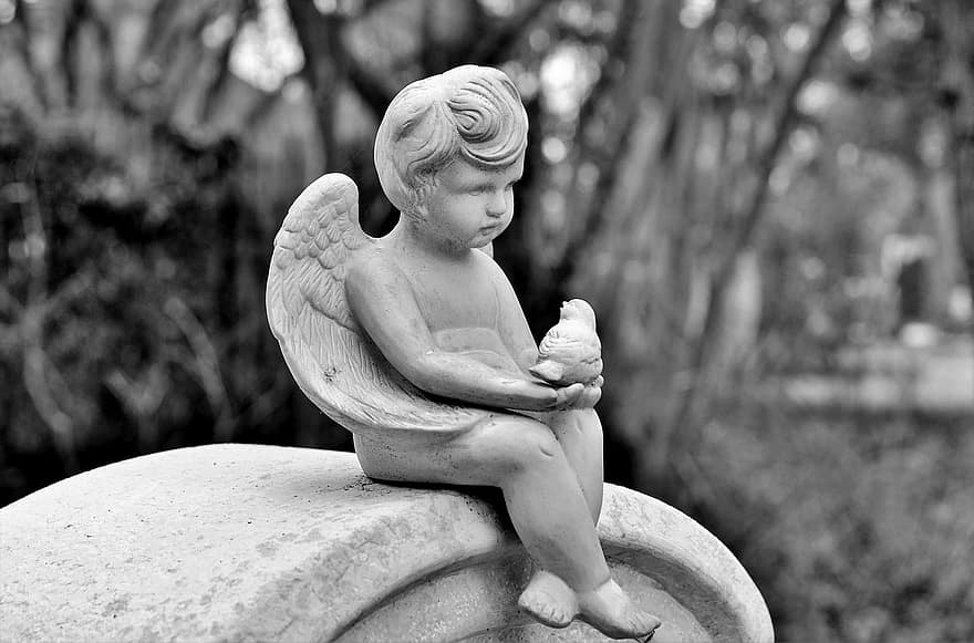 ange, cimetière, sculpture, statue, figure, figure d'ange, aile, figure de pierre, décoration, Petit ange, sculpture de roche