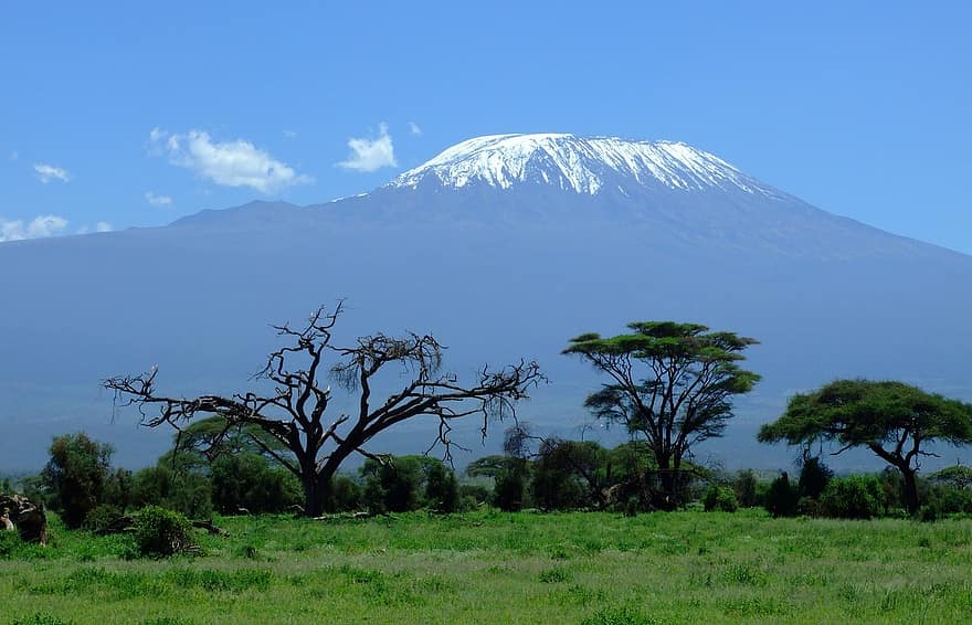 kilimanjaro, Kenya, dağ, amboseli, safari, Afrika, kar, tanzanya, çalı, orman, dağcılık