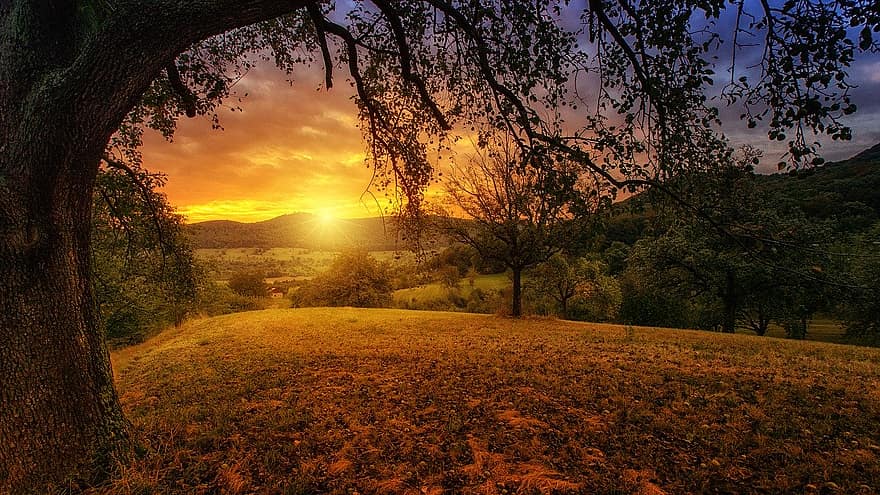 natuur, boom, dageraad, landschap, panorama, zon, aesthetisch, zonlicht, oranje, milieu