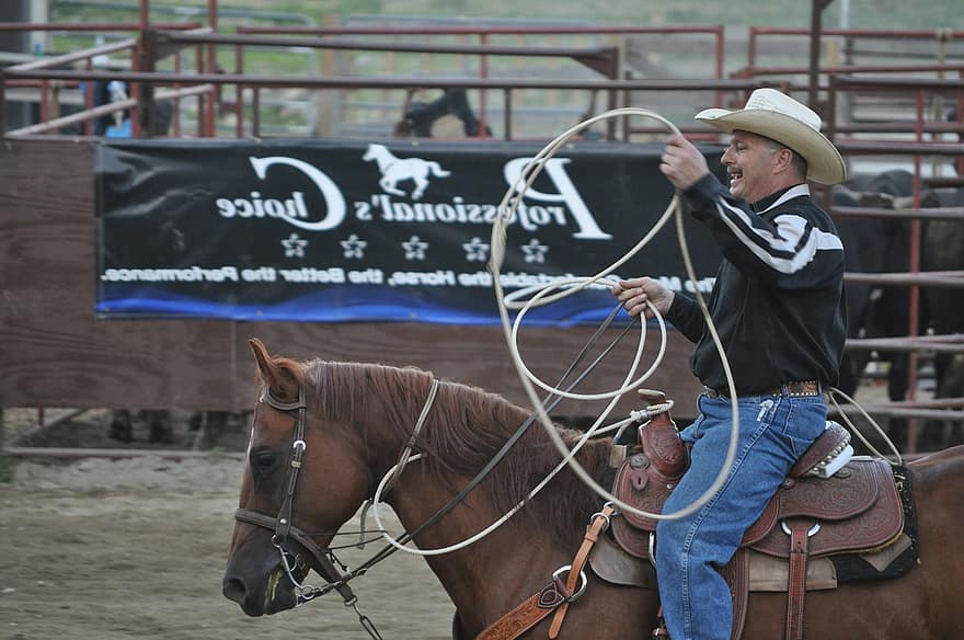 rodeo, ranch, bucking, cowboy, occidentale, Texas, corda, equitazione, equestre, allevamento