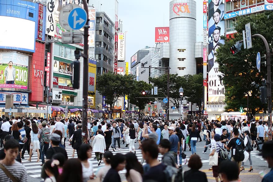 thành phố, tokyo, Quang cảnh đường phố, shibuya, đường, khoa học nhân văn, Nhật Bản