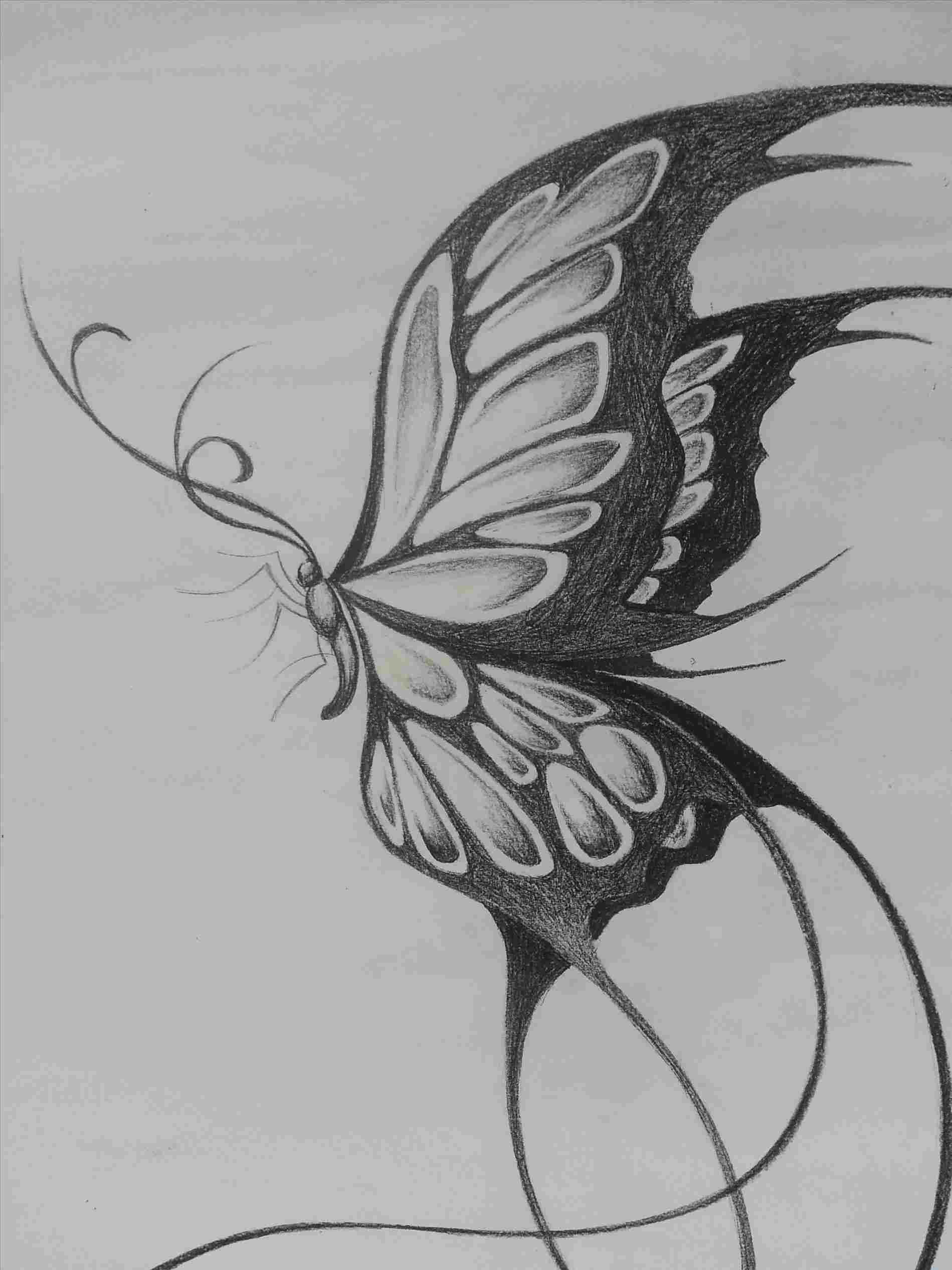  Butterfly Drawings In Pencil at PaintingValley.com Explore collection 