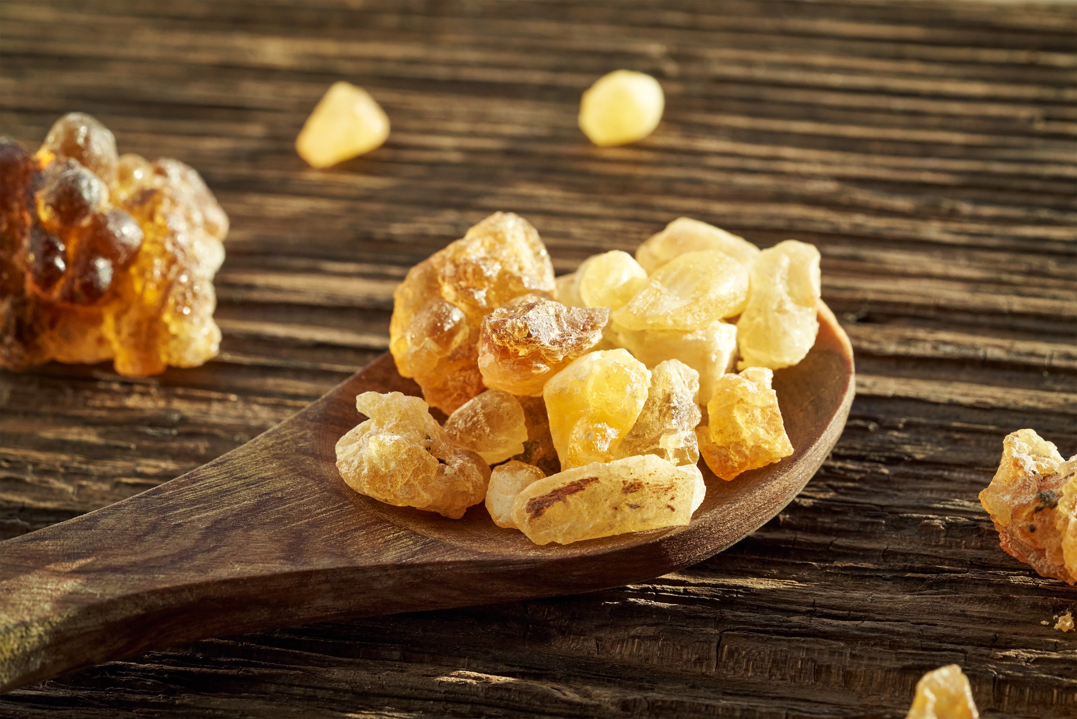 Boswellia Extract