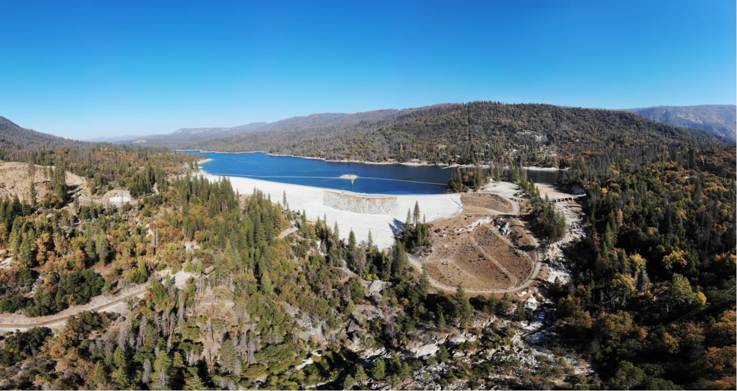 Are Dogs Allowed In Sierra National Forest