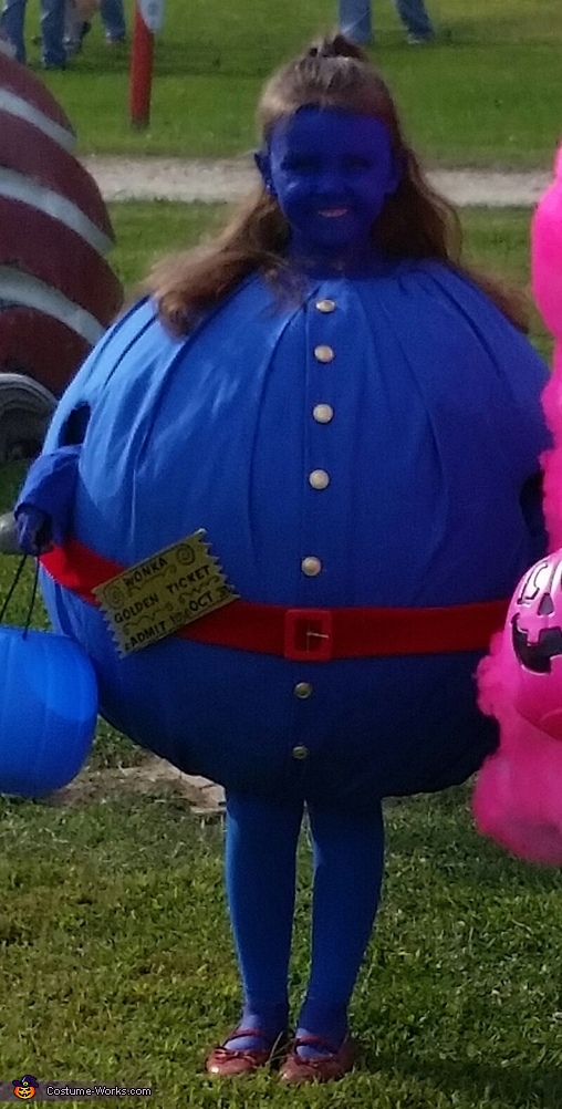 Violet Blueberry Costume