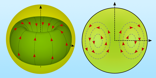 A Toroidal Mode in an Excited Nucleus