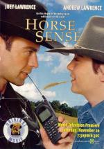 Horse Sense (TV)