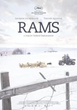 Rams 