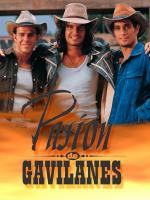 Pasión de gavilanes (Serie de TV)