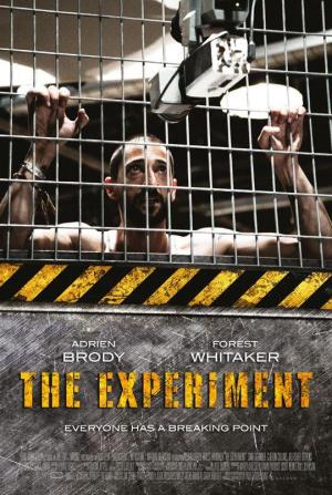 The Experiment 