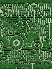 Amazing Corn Crop Maze Art 