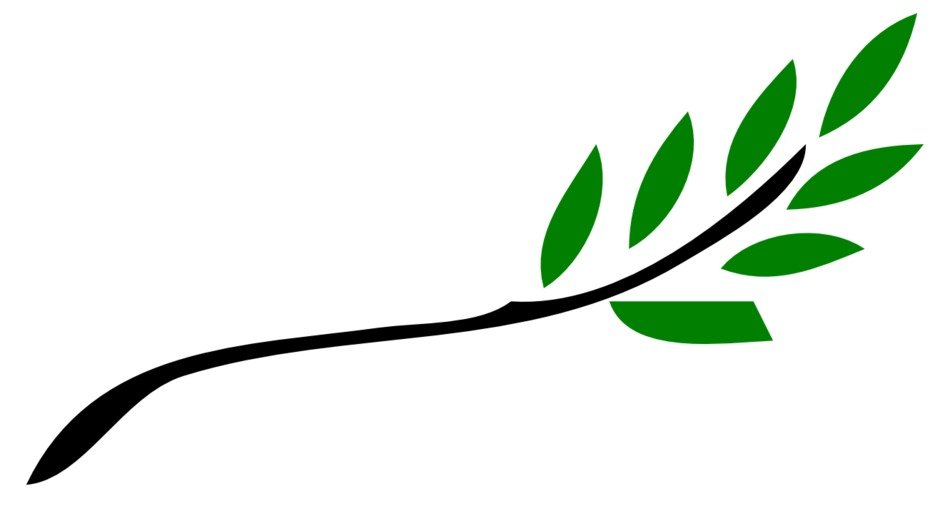 Olive Leaf Clipart