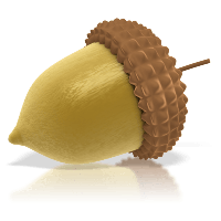 Acorn PNG image