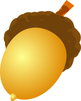 Acorn PNG image