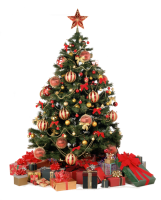 Christmas tree PNG