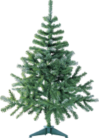 Christmas tree PNG