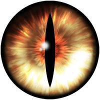 Eye PNG